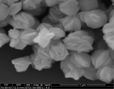 upconverting nanocrystal nastaran hashemi