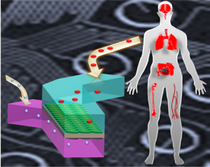 organ chip hashemi montazami