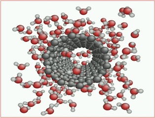 Carbon Nanoscale